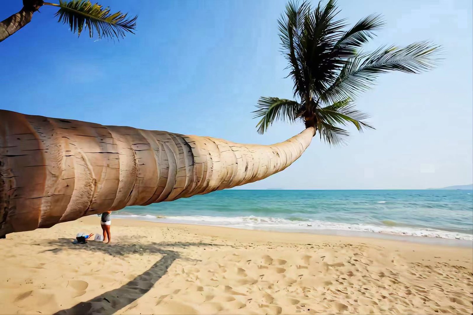 Paket Tour Hainan China Murah